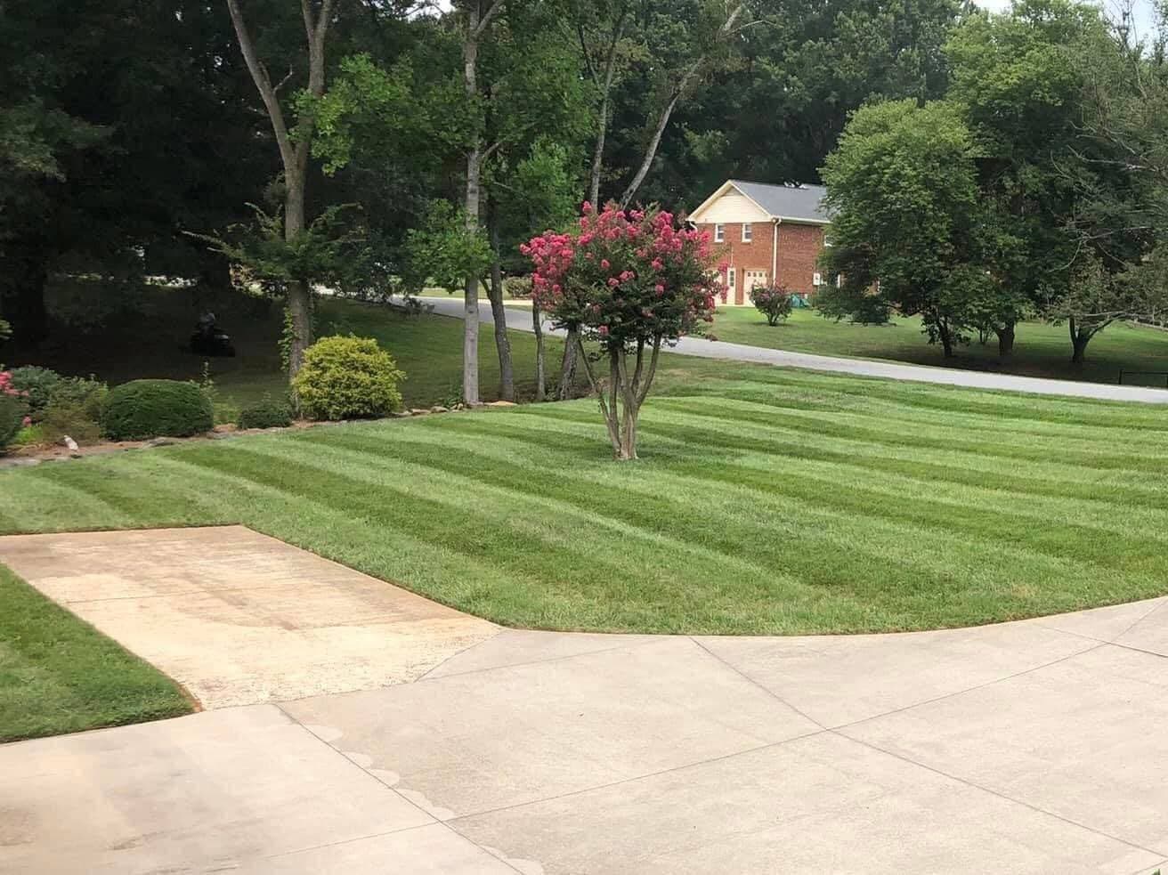 Lawn Care & Maintenance, Lexington NC area