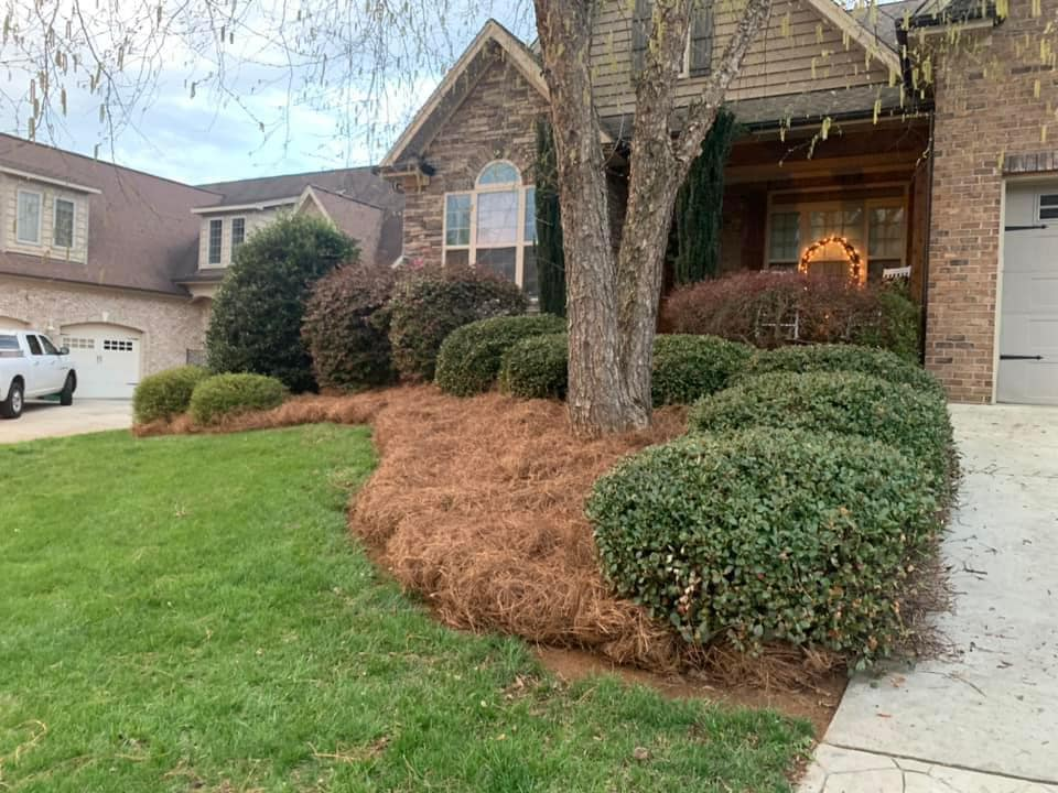 Pine Needle & Mulch Installation: Photo 2