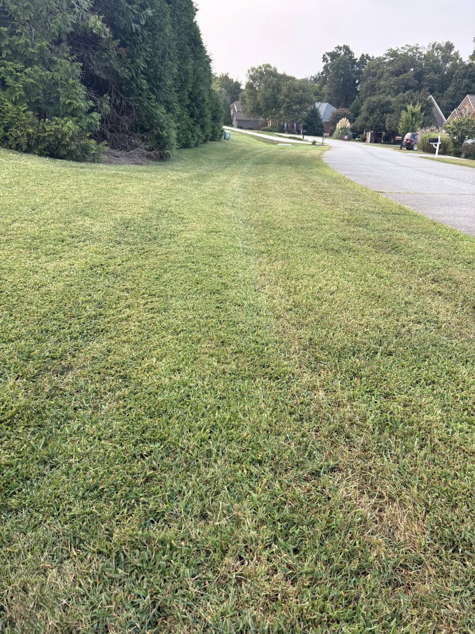 Mowing Season: Mowing 6