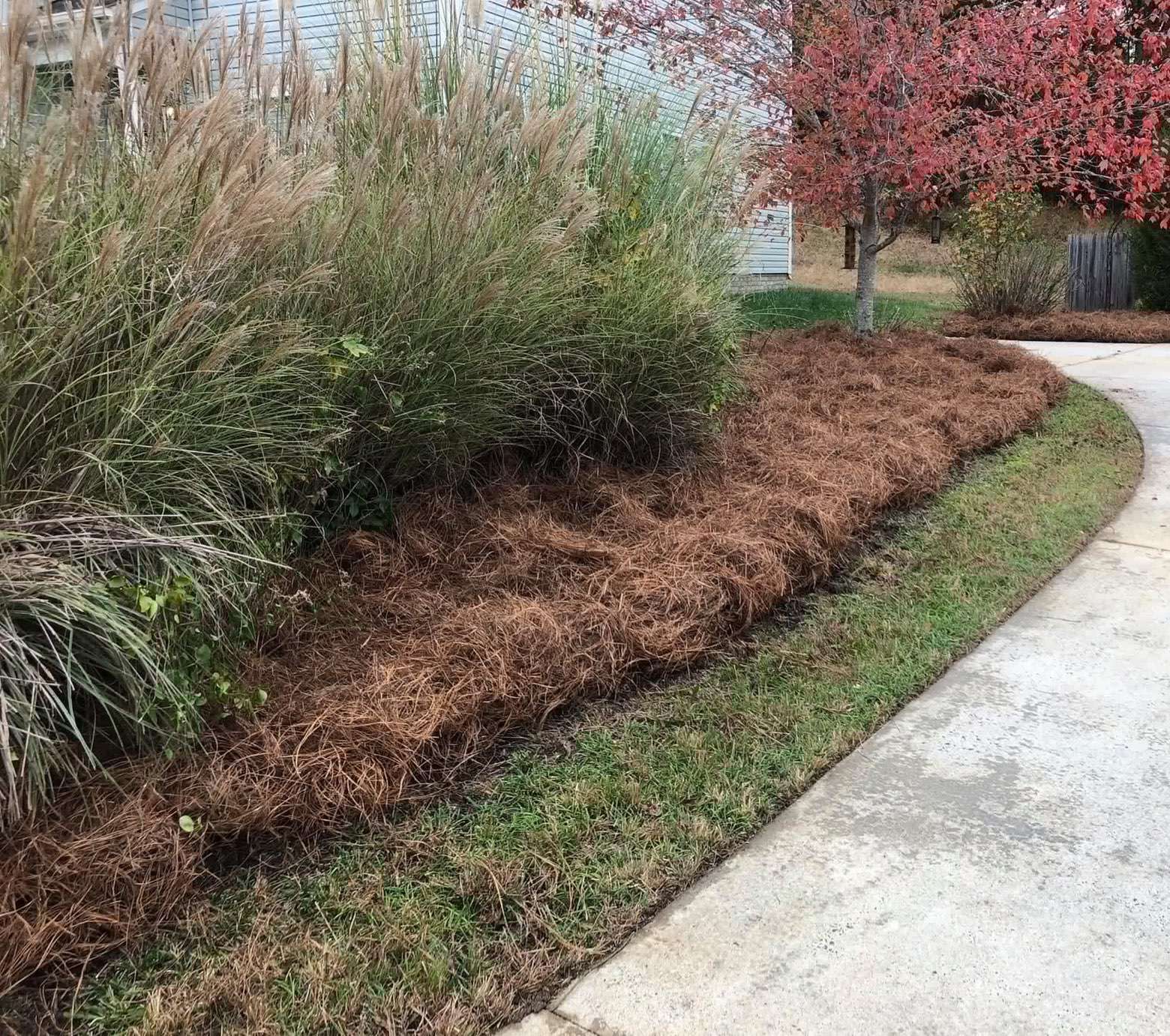 Mulch and bed installation: Photo 2