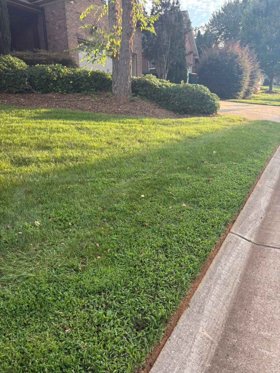 Lawn Care & Maintenance: Photo 9