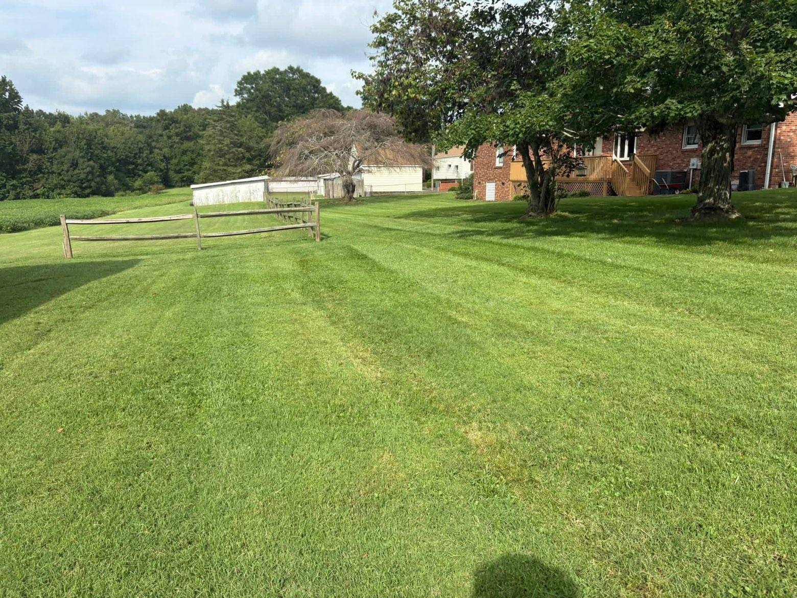 Lawn Care & Maintenance: Photo 10