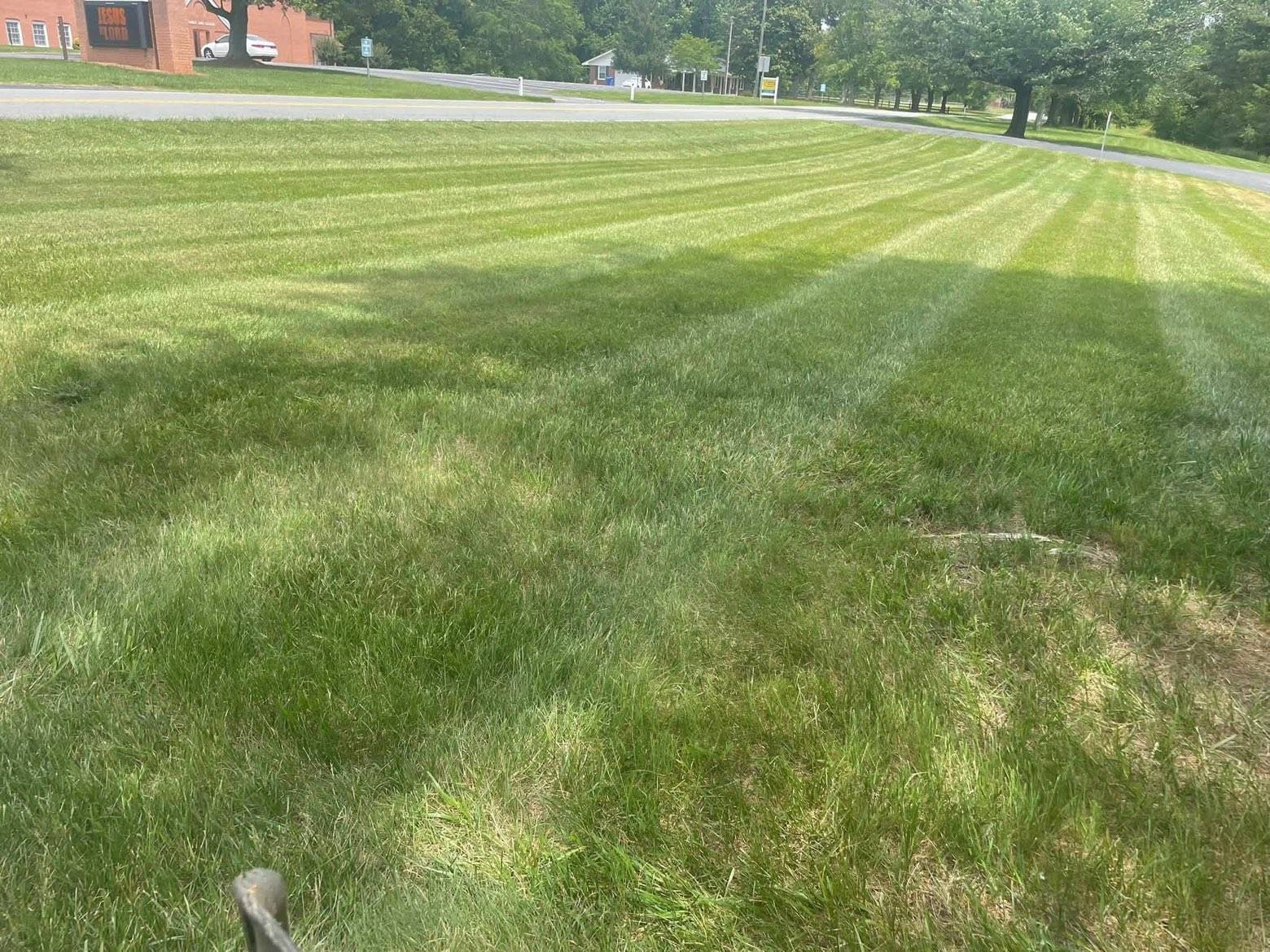 Lawn care & mowing: Photo 3