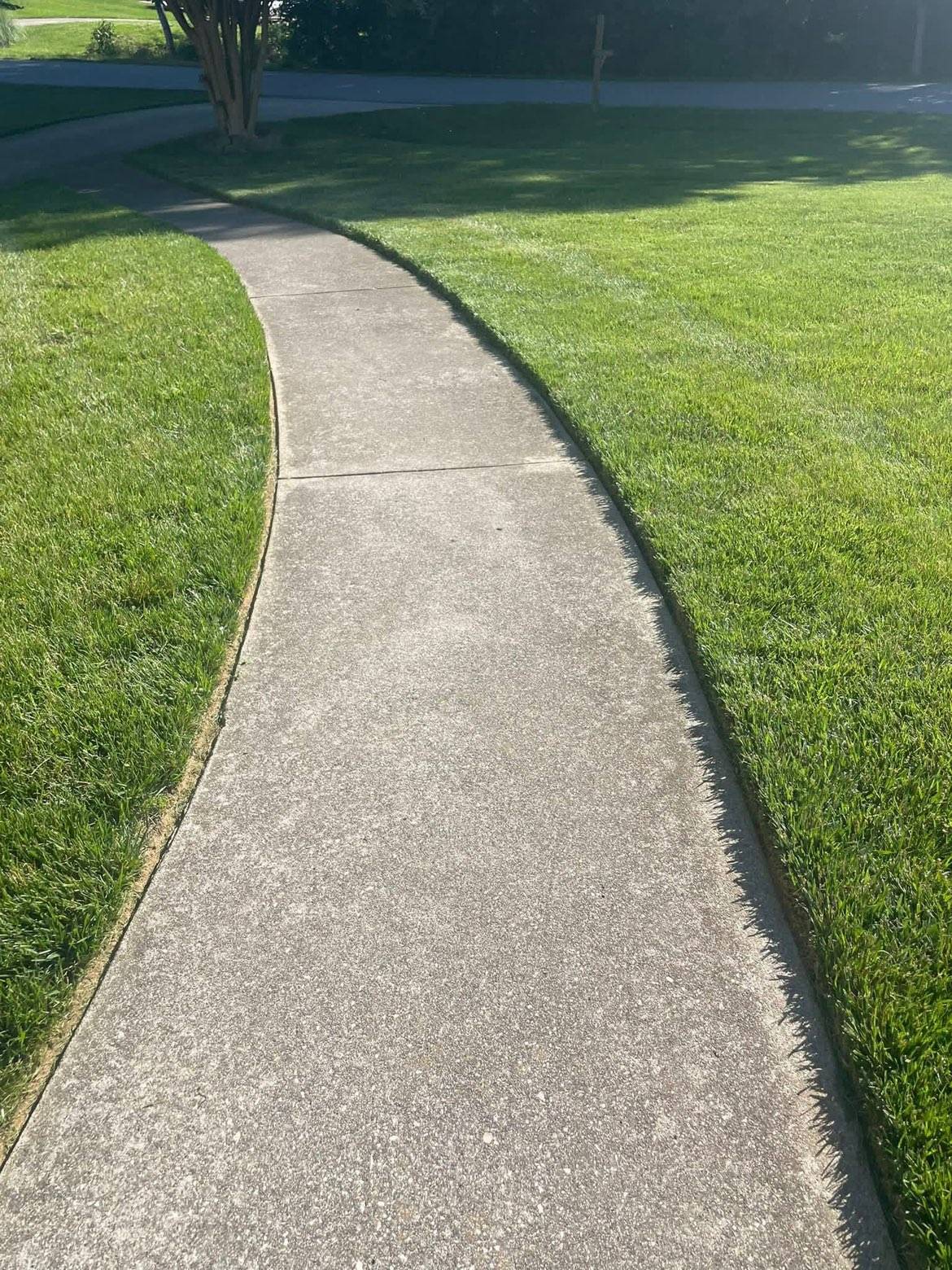 Lawn care & mowing: Photo 4