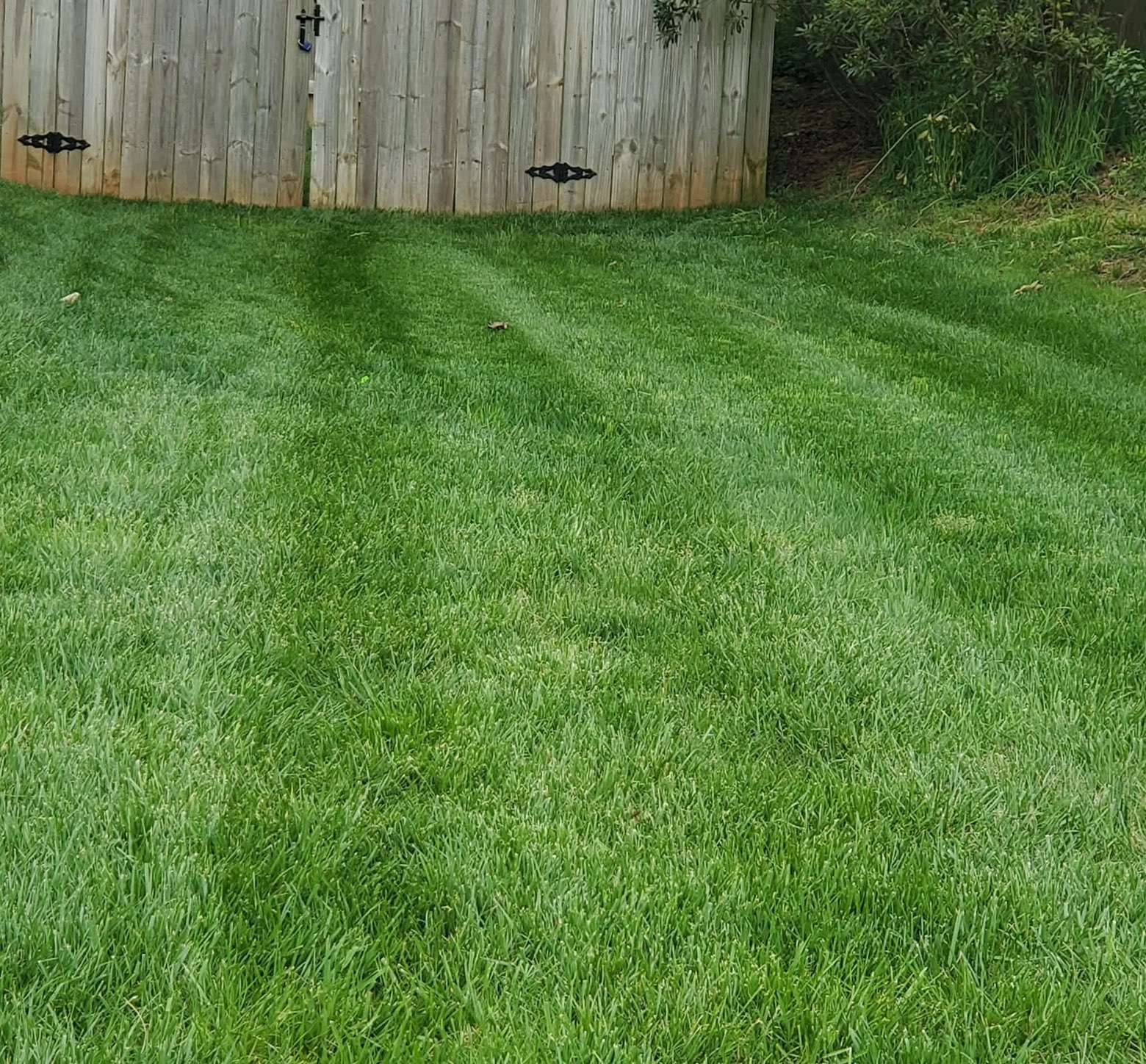 Lawn Care & Maintenance: Photo 15