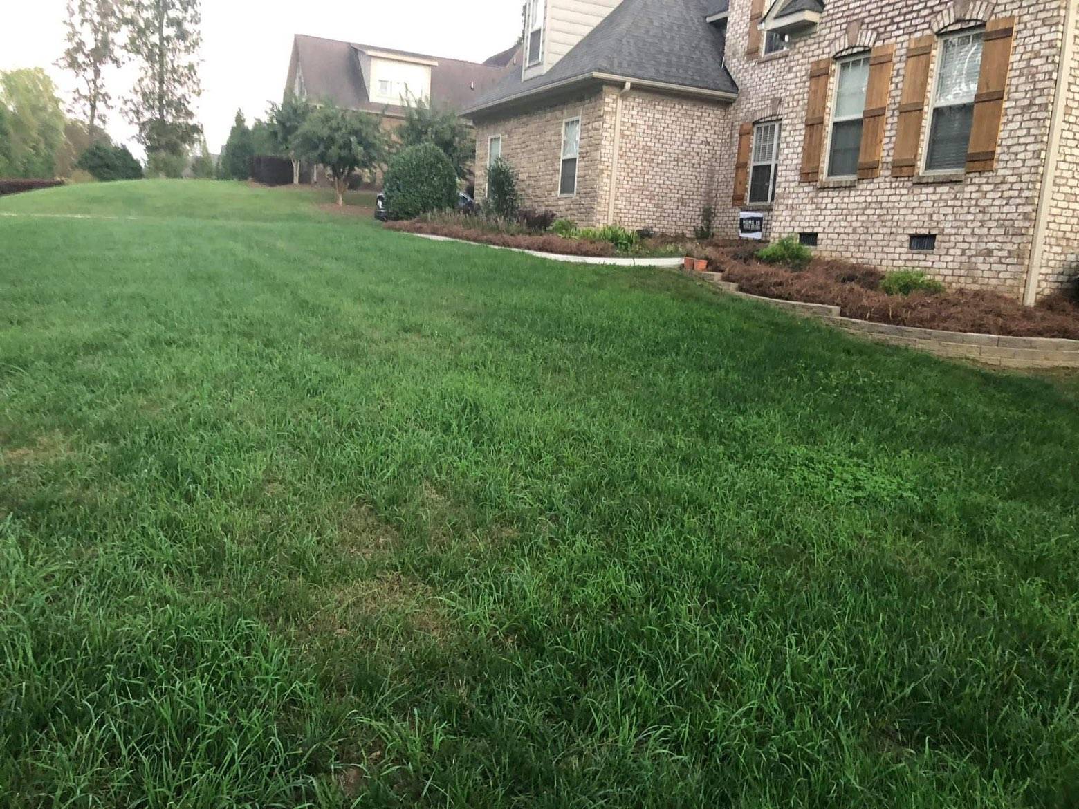 Lawn Care & Maintenance: Photo 16